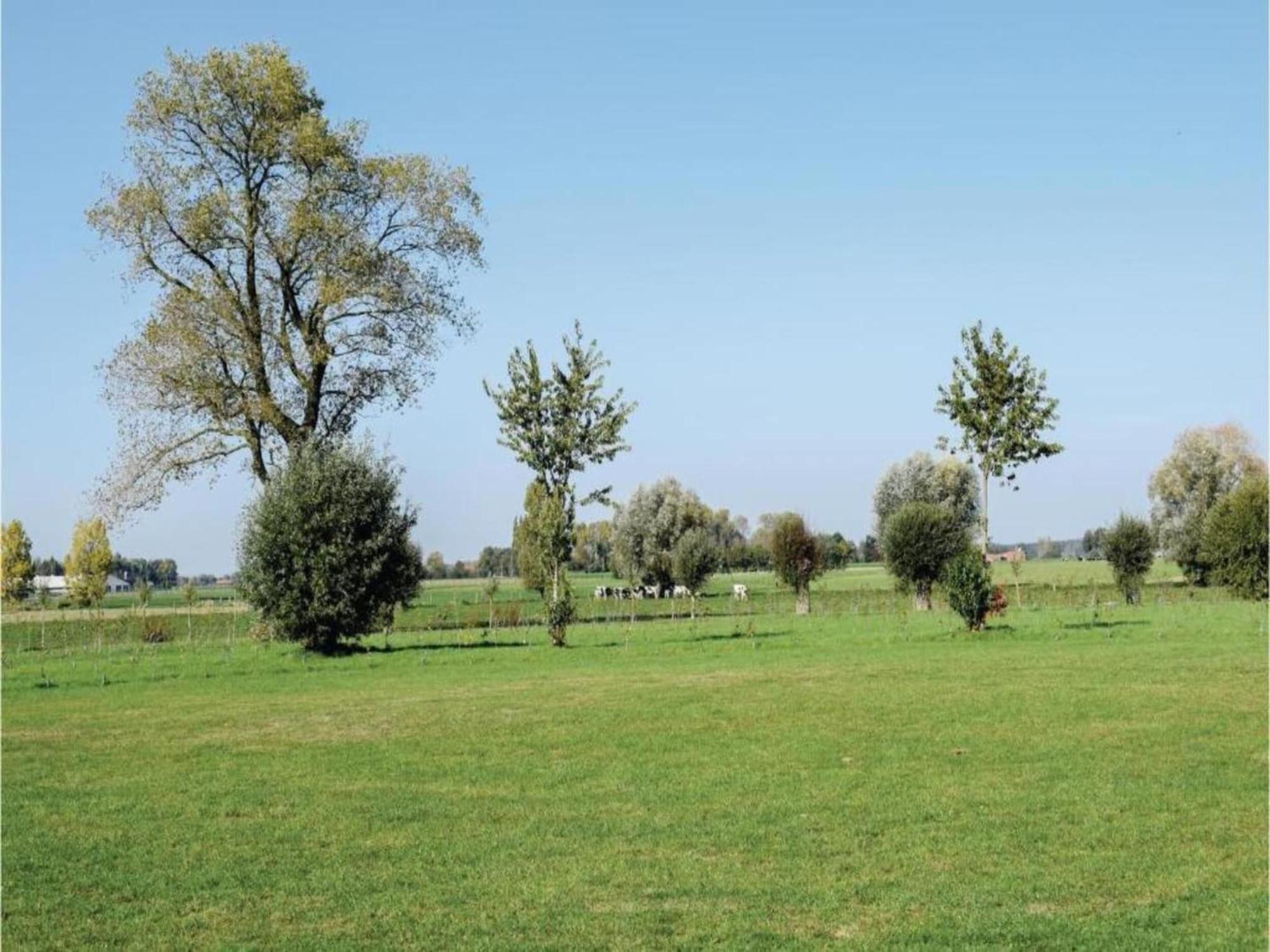 Studio In Ieper With Terrace Esterno foto